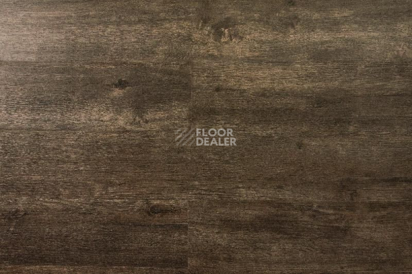 Кварцвиниловые полы IVC Primero (DryBack) IVC Primero 24982Q фото 1 | FLOORDEALER